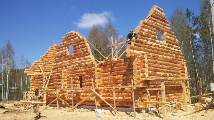 Будинки з оциліндрованих колод - дизайн дерев'яного будинку і технологія будівництва (65 фото)