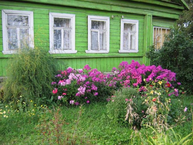 Палісадник перед будинком: розмір, стиль, вибір рослин (80 фото)